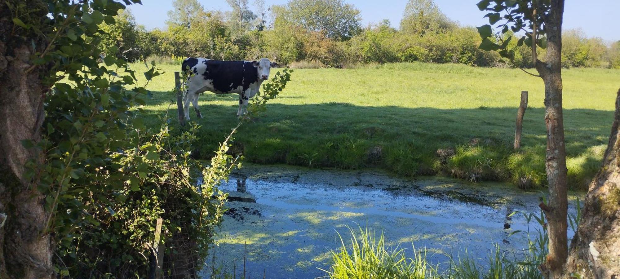 Charmante Maison De Campagne, Avec Jardin, Vue Riviere, 15 Min Cabourg Basseneville Exterior foto